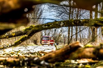 Fallen Tree, Emergency Tree, Removal-Insurance Claim Vinings GA