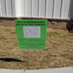 Brookhaven Tree Removal Sign