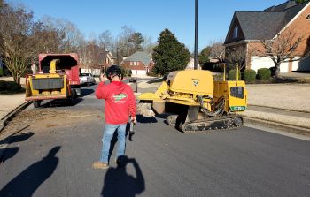 Tree Services Smyrna GA, Tree Cutters Vinings