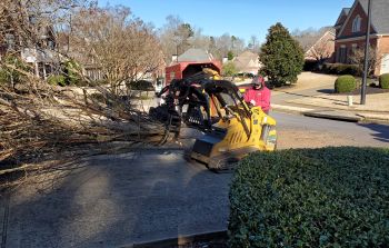 Fallen Tree, Emergency Tree, Removal-Insurance Claim Smyrna GA