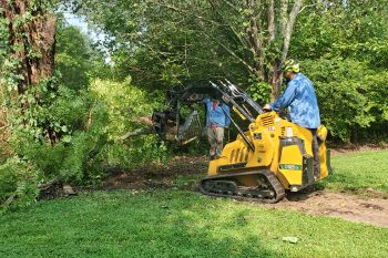 Fallen Tree, Emergency Tree, Removal-Insurance Claim Acworth GA